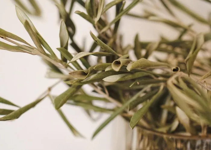 Collis Hill Kals-am Großglockner