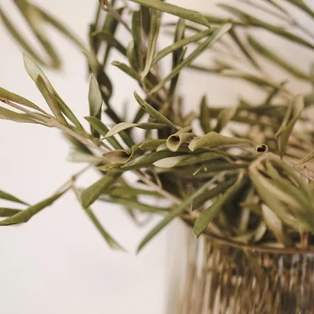 Collis Hill Kals-am Großglockner